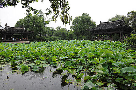 浙江绍兴沈园