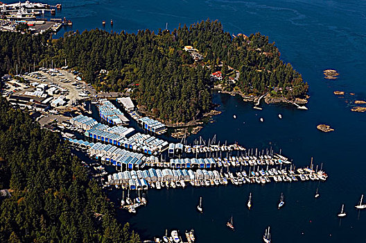 独木舟,小湾,码头,俯视,靠近,温哥华岛,不列颠哥伦比亚省,加拿大