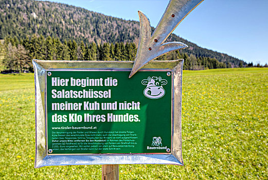 春天,草地,信息指示,上巴伐利亚,巴伐利亚,德国