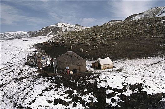 绵羊,蒙古包,山峦,吉尔吉斯斯坦