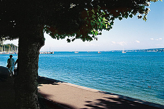 风景,帆船,康士坦茨湖,德国
