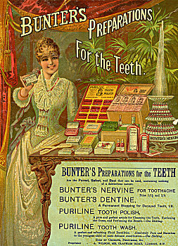 准备,牙齿,19世纪,艺术家,未知