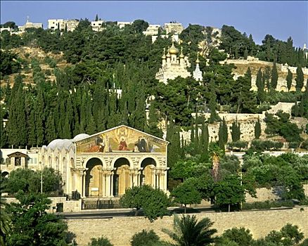 教堂,橄榄,耶路撒冷,以色列