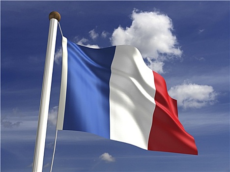 法属圭亚那,旗帜