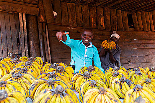 非洲,马拉维,利隆圭,地区,香蕉,市场