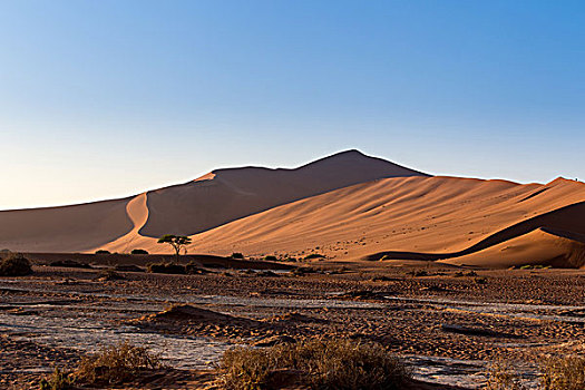 美景,隐藏,纳米布沙漠