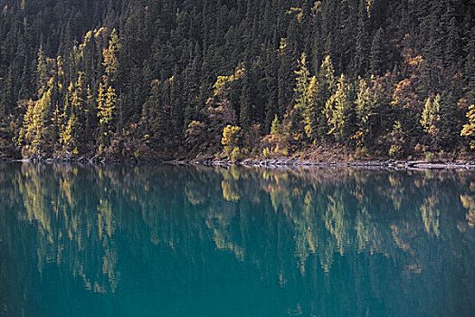 自然,风景