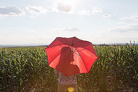 女人,站立,拿着,红色,伞