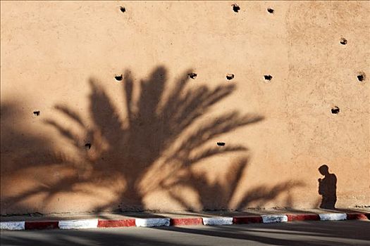 巨大,棕榈树,男青年,影子,老,黏土,墙壁,黄昏,历史,马拉喀什,摩洛哥,非洲