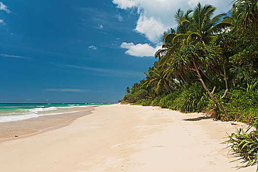 斯里兰卡,风景,海滩,乌纳瓦图纳