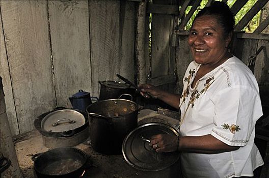 烹调,节能,烤炉,自然保护区,尼加拉瓜,中美洲