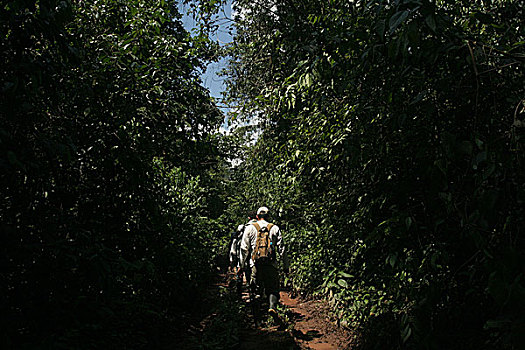 团队,走,丛林,八月,2008年