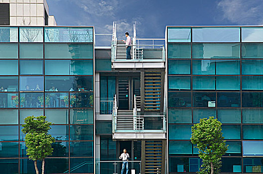 现代建筑,玻璃,玻璃墙,办公楼,楼梯,树木,树叶,蓝天,高楼,摩天大楼,地标建筑,写字楼,住宅