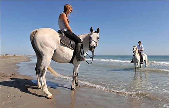 骑马,海滩