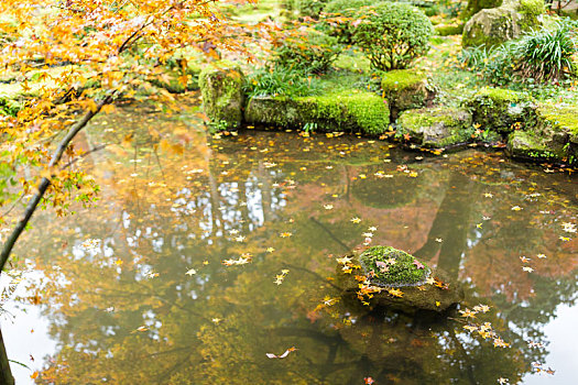 秋日风光,日本寺庙