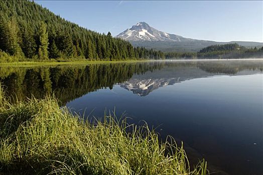 延龄草,湖,胡德山,火山,喀斯喀特山脉,俄勒冈,美国