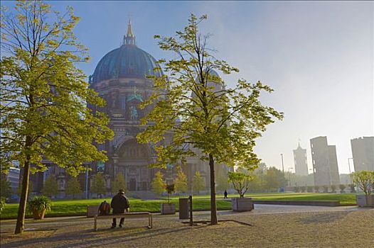 秋天,树,正面,柏林大教堂,柏林,德国,欧洲