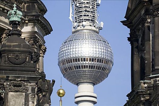 穹顶,电视塔,后面,柏林大教堂,公园,德国,欧洲