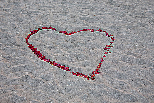 心形,玫瑰花瓣,海滩,迈阿密海滩,佛罗里达,美国