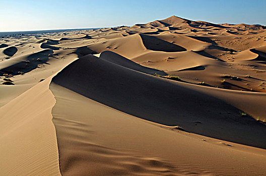 沙漠,沙丘,却比沙丘,摩洛哥,非洲
