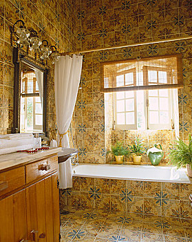 浴帘,砖瓦,浴室,窗户,盆栽植物