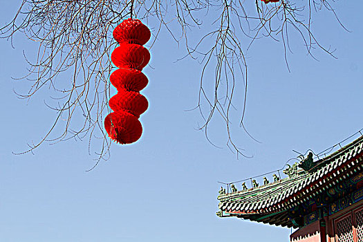 北京地坛庙会上的红灯笼
