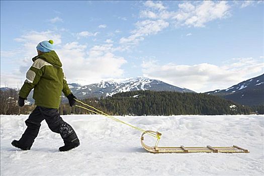 男孩,拉拽,雪橇,不列颠哥伦比亚省,加拿大