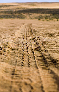 沙漠中的轮胎印