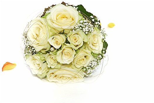 白色蔷薇,新娘手花