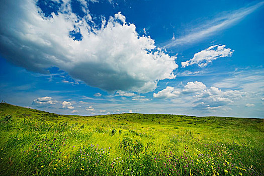 艾伯塔省,加拿大,云,空中,上方,草地