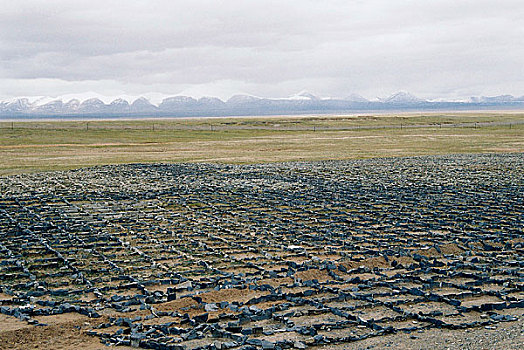 青藏铁路建设固沙带