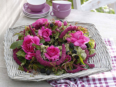 夏末,花环,粉色,玫瑰,黑莓,悬钩子属植物,苋属植物