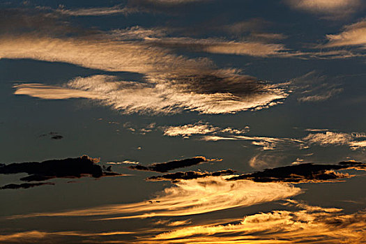 卷云,日落,天空,西澳大利亚州