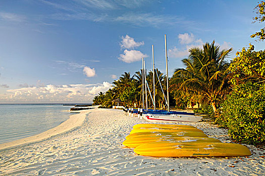 黄色,独木舟,并排,海滩,棕榈树,岛屿,南马累环礁,马尔代夫,亚洲,印度洋