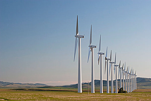 风电场,山麓,南方,艾伯塔省,加拿大