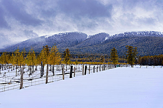 东天山雪景美如画