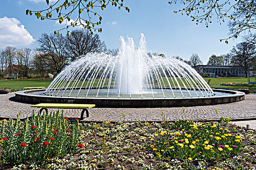 喷泉,花坛,爱尔福特,图林根州,德国,欧洲