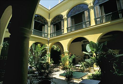 古巴,哈瓦那,内庭,酒店,植物