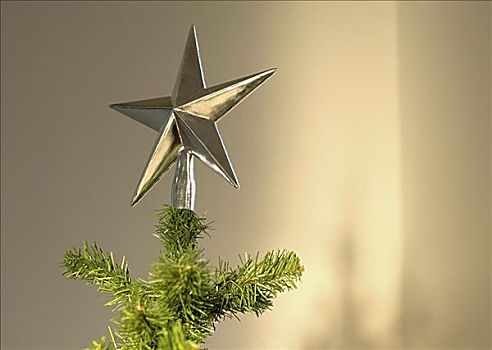 星形,圣诞树