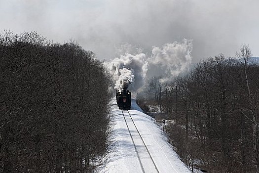 蒸汽机车,冬天,湿地
