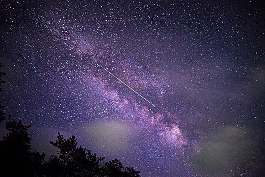 仰望流星