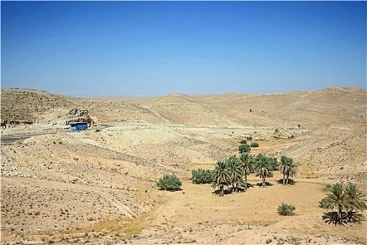 巴士,驾驶,撒哈拉沙漠