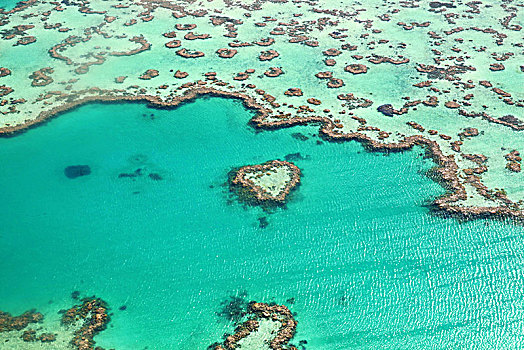 澳大利亚心形珊瑚礁