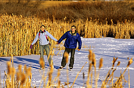 情侣,滑冰,水塘,靠近,白鲑,蒙大拿