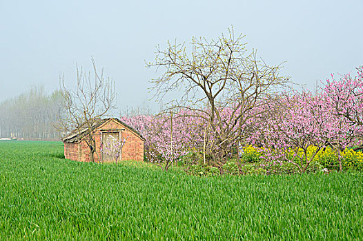 田园里的小屋