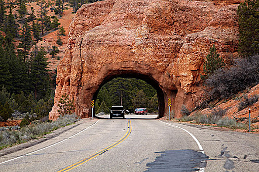 美国,犹他,国家森林,隧道,景色,旁路,靠近,红色,峡谷
