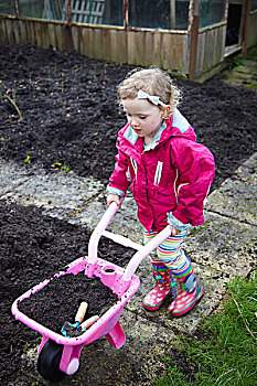 女孩,推,粉红色的,独轮车,分配,菜园