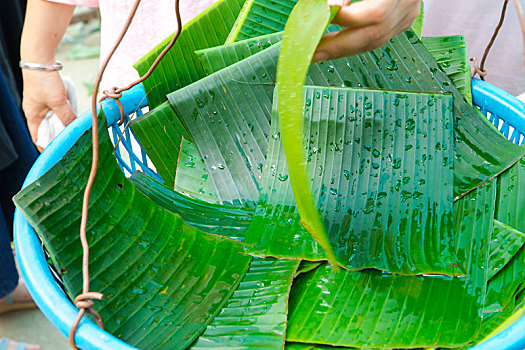 清洁传统的环保包材翠绿的芭蕉叶