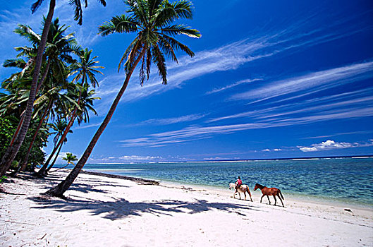 珊瑚海岸,沙,胜地,女孩,海滩,椰树,树