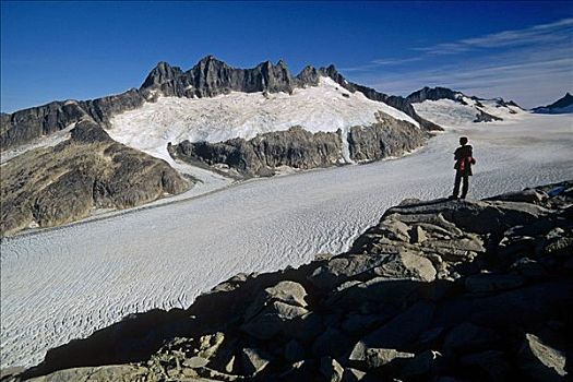 远足者,攀登,注视,棉田豪冰河,东南阿拉斯加,冰,石头